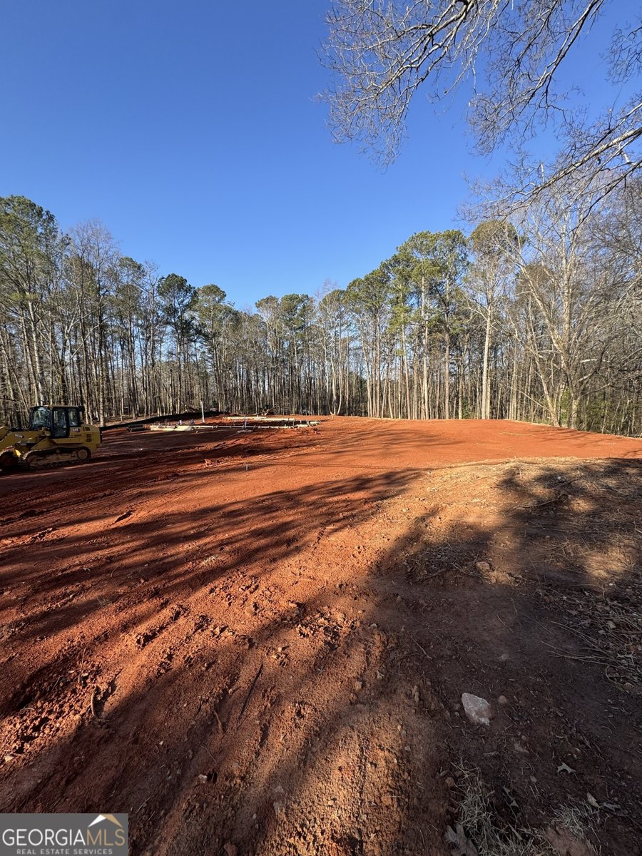 542 Palm Street Holly Springs - 6