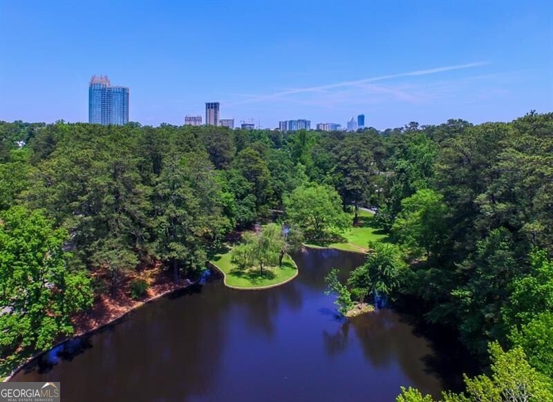 250 Lakeview Avenue Atlanta - 59