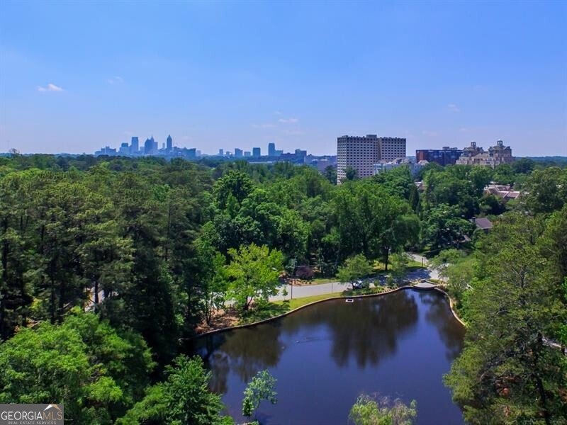 250 Lakeview Avenue Atlanta - 60