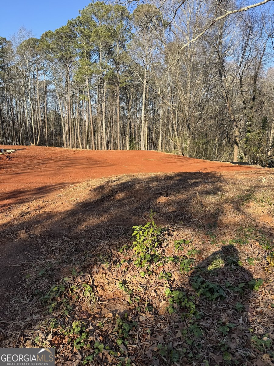 554 Palm Street Holly Springs - 9