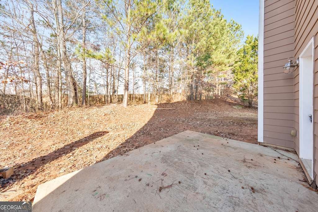 8270 Mossybrook Lane Douglasville - 6