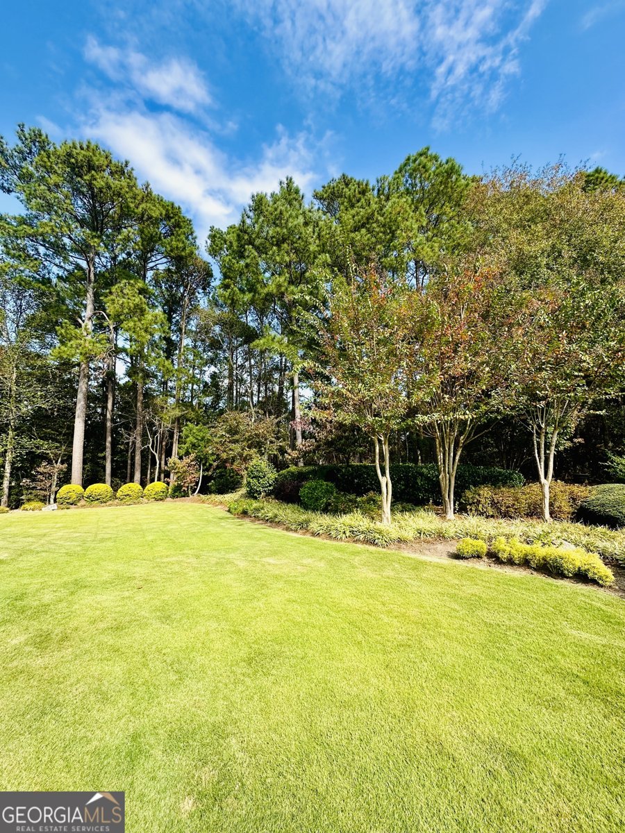 3585 Shepherds Lane Loganville - 11