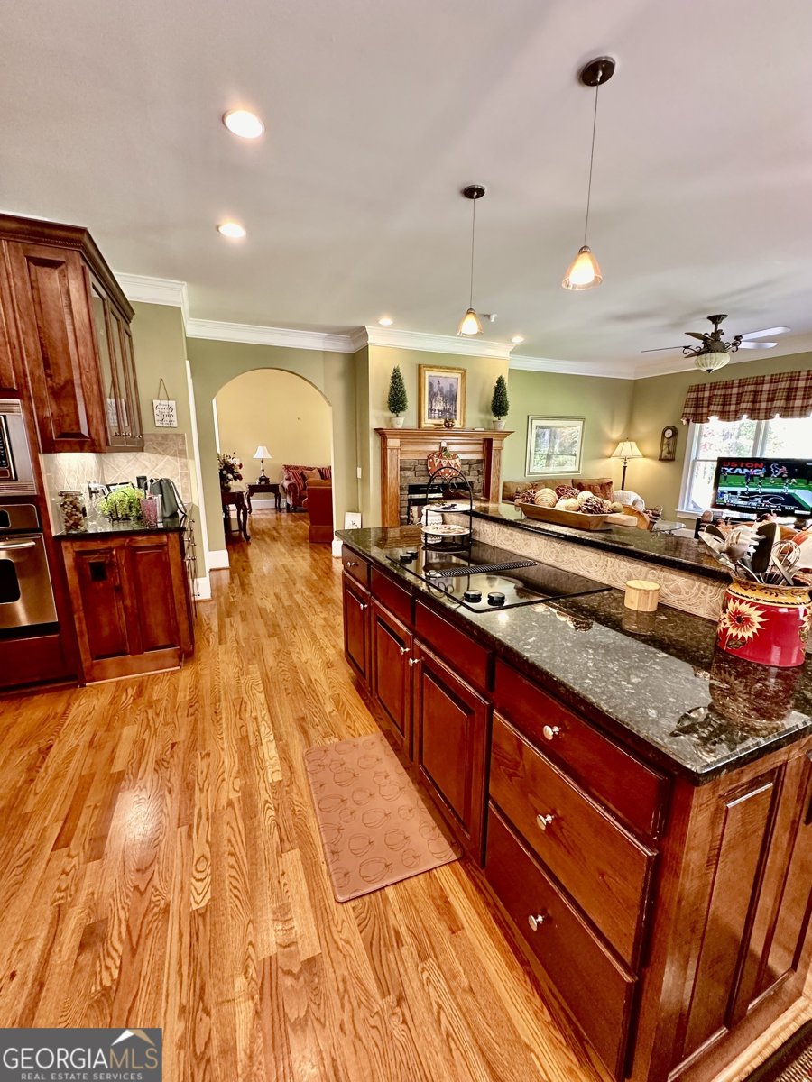 3585 Shepherds Lane Loganville - 24