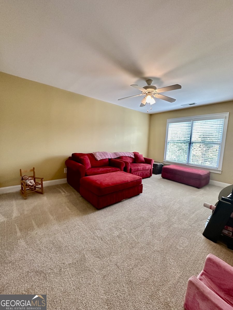 3585 Shepherds Lane Loganville - 47