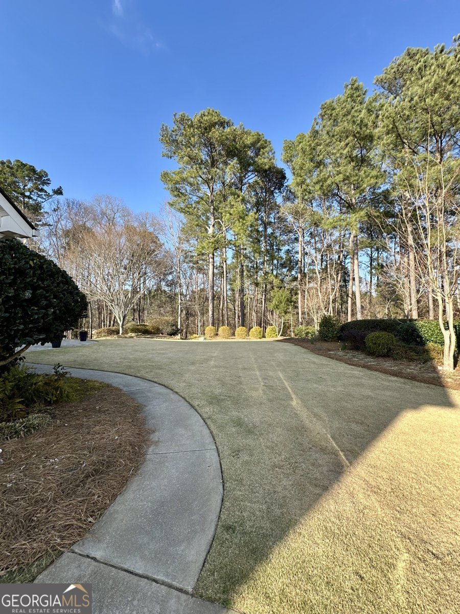 3585 Shepherds Lane Loganville - 68