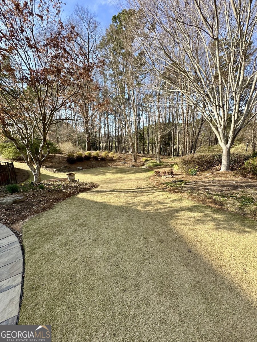 3585 Shepherds Lane Loganville - 83
