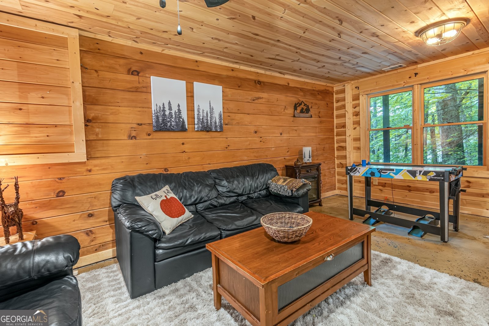 341 Valley View Road Ellijay - 30
