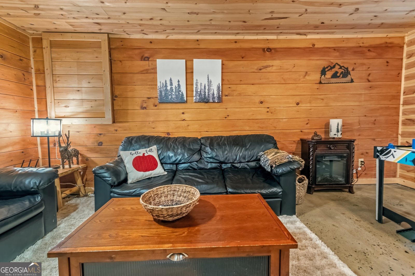 341 Valley View Road Ellijay - 33
