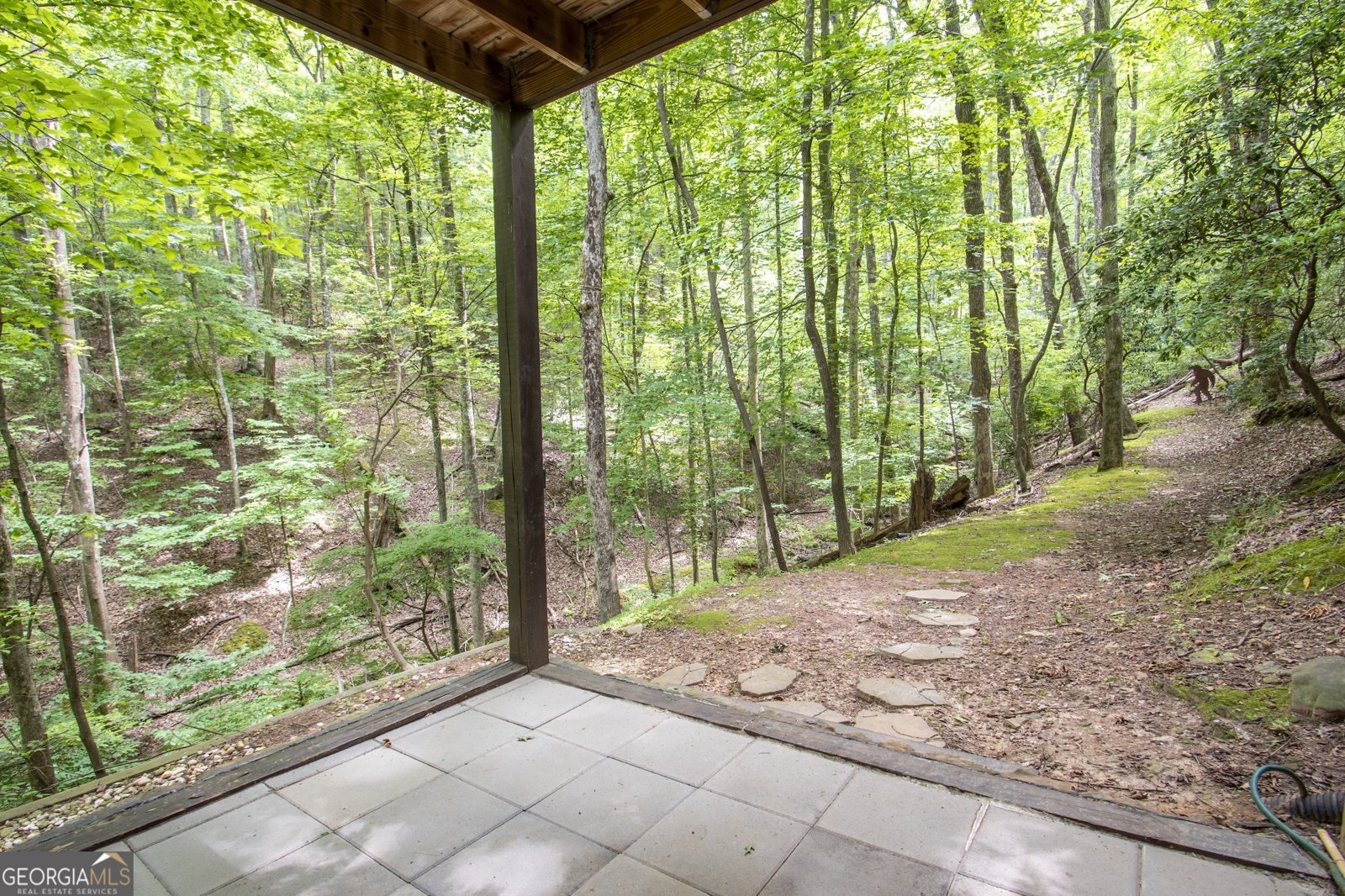 341 Valley View Road Ellijay - 37