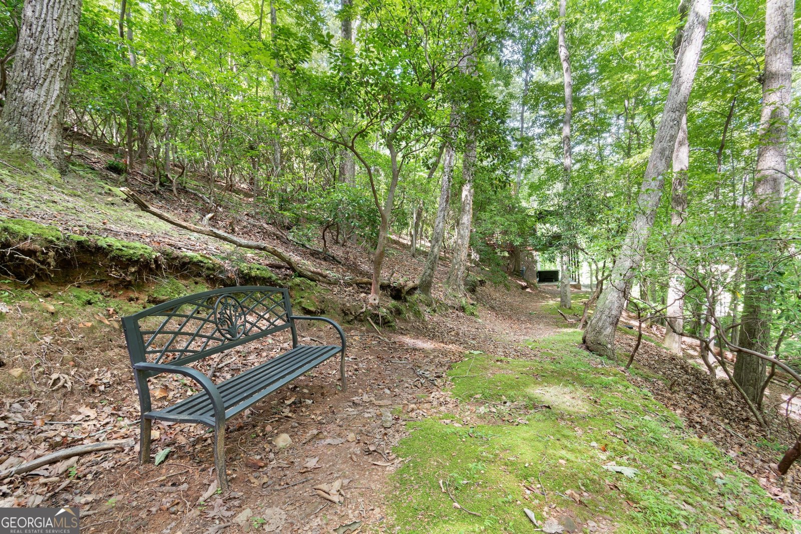 341 Valley View Road Ellijay - 41