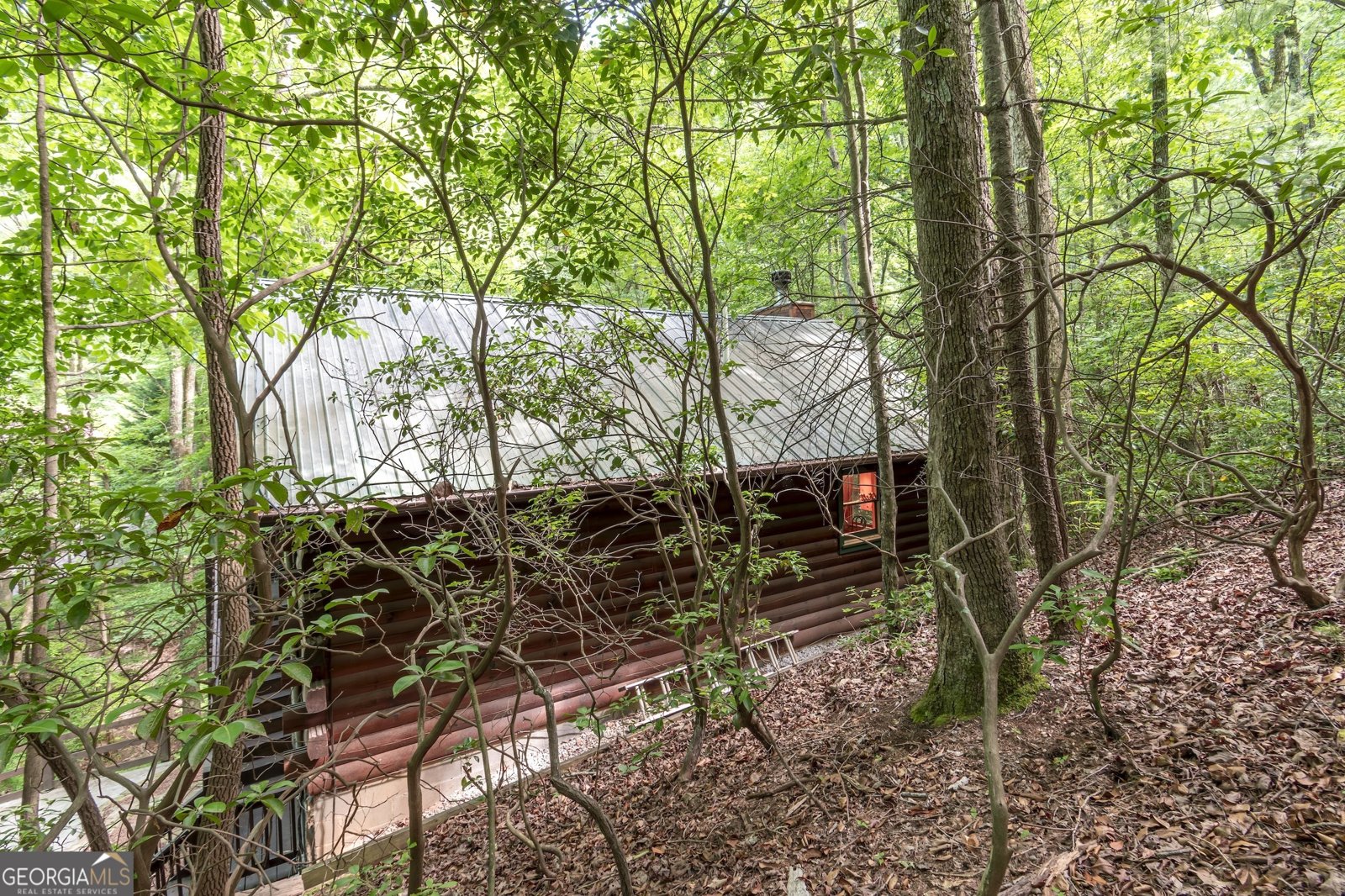 341 Valley View Road Ellijay - 45