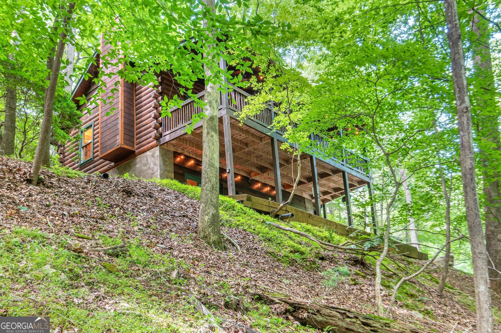 341 Valley View Road Ellijay - 46