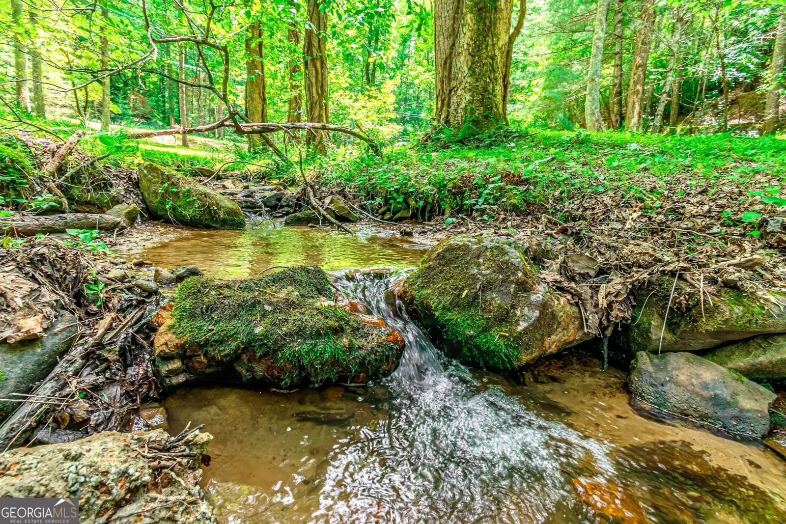 341 Valley View Road Ellijay - 56