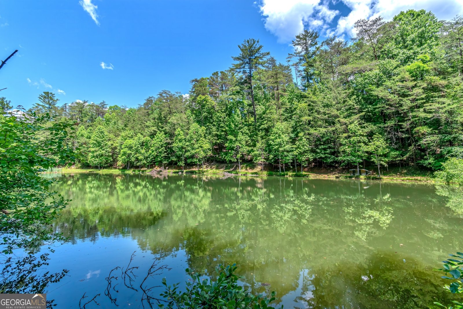 341 Valley View Road Ellijay - 63