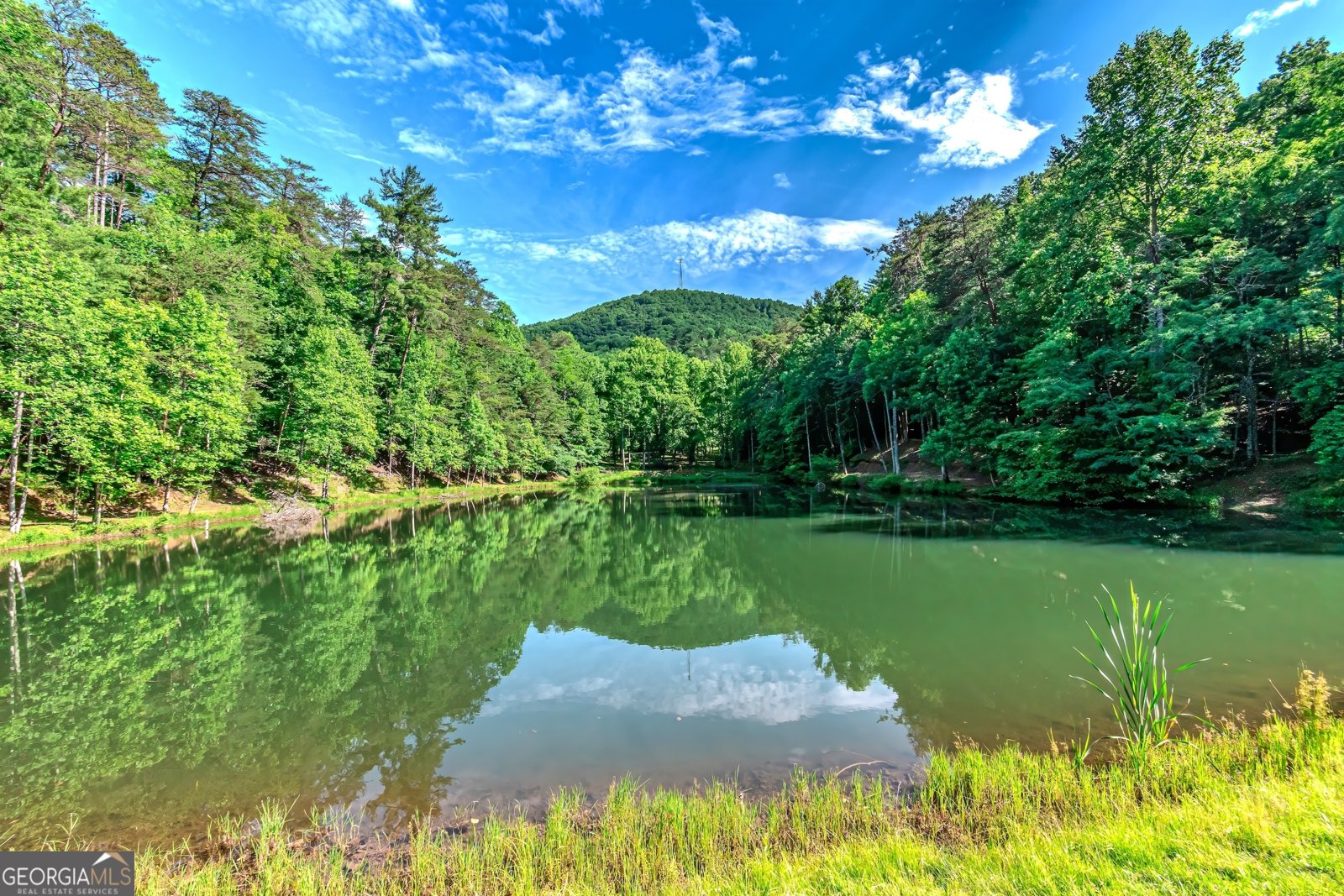 341 Valley View Road Ellijay - 64