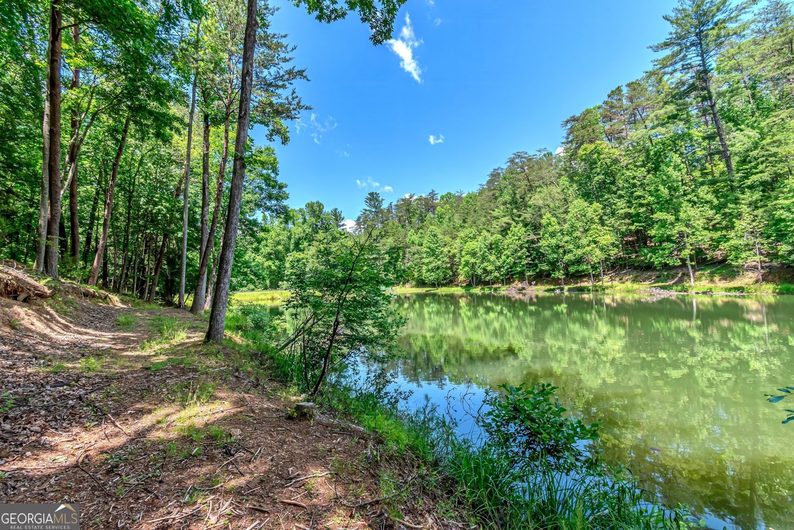 341 Valley View Road Ellijay - 65