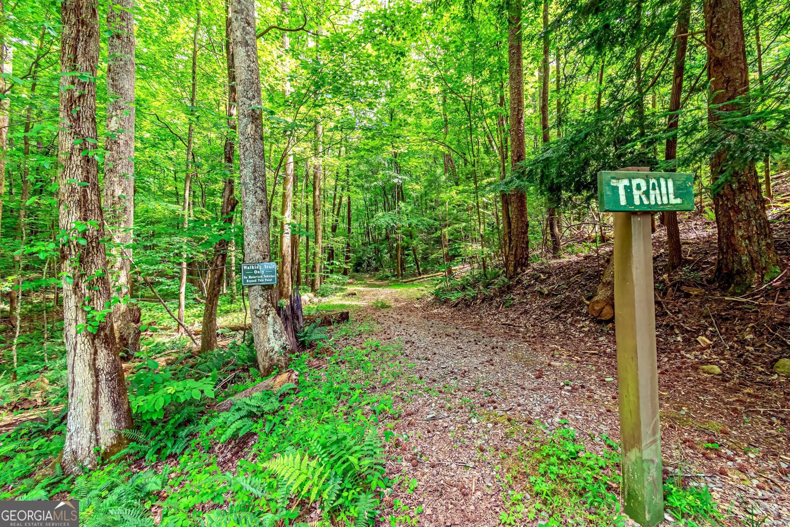341 Valley View Road Ellijay - 66