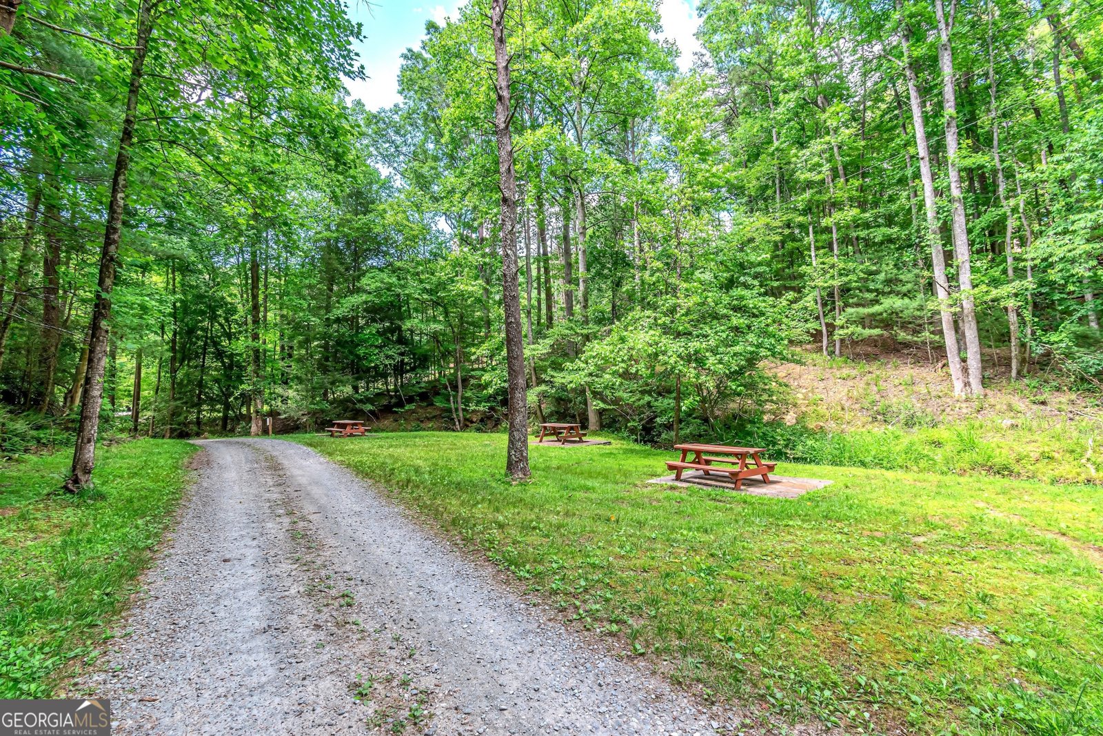 341 Valley View Road Ellijay - 67