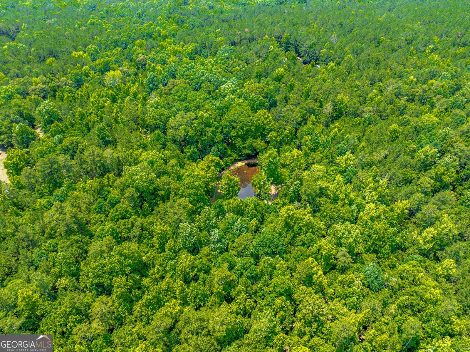267 Ellistown Road Jackson - 79