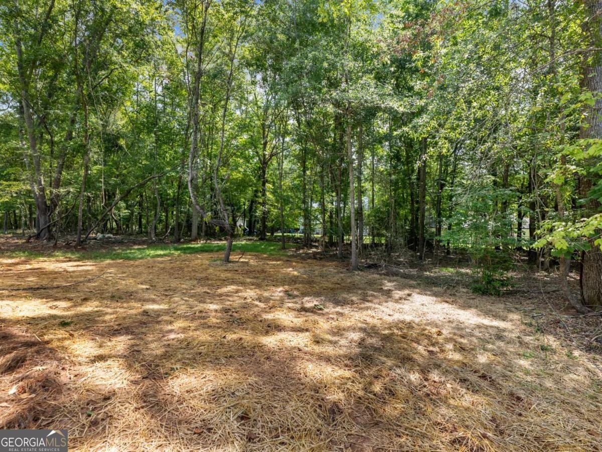 8083 Beachwood Drive Murrayville - 31