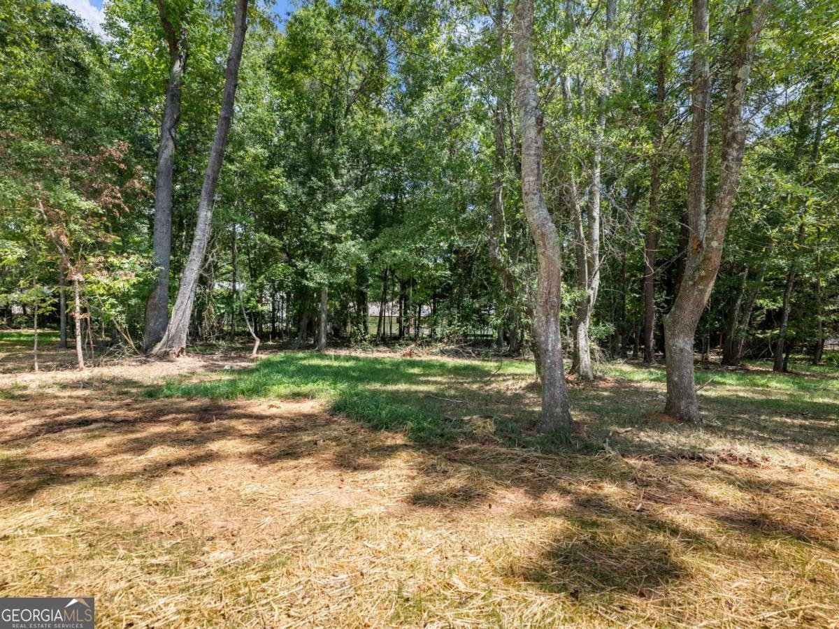 8087 Beachwood Drive Murrayville - 33