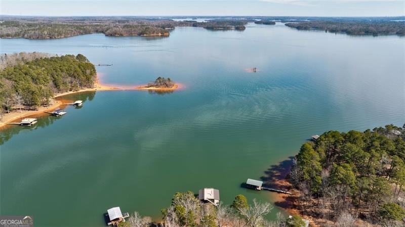 9673 Reed Creek Highway Hartwell - 73