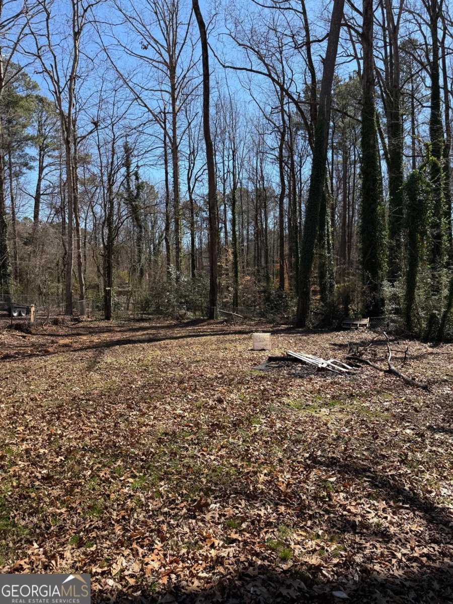 641 Spring Forest Drive Lawrenceville - 10