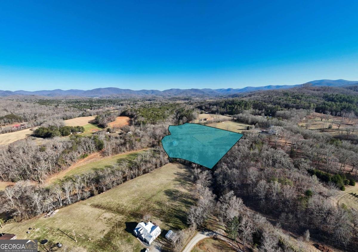 578 Jimmy Nicholson Road Blairsville - 3