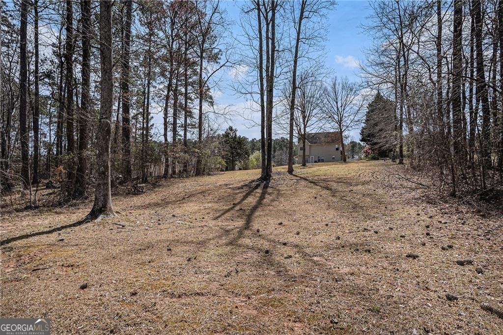 190 The Falls Boulevard Covington - 24