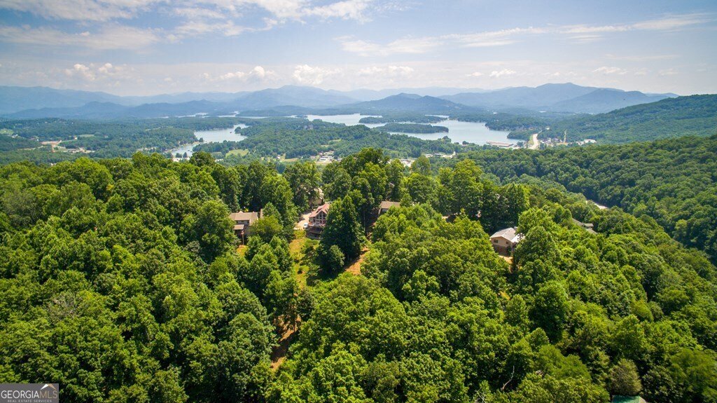 1292 Harris Ridge Road Young Harris - 37