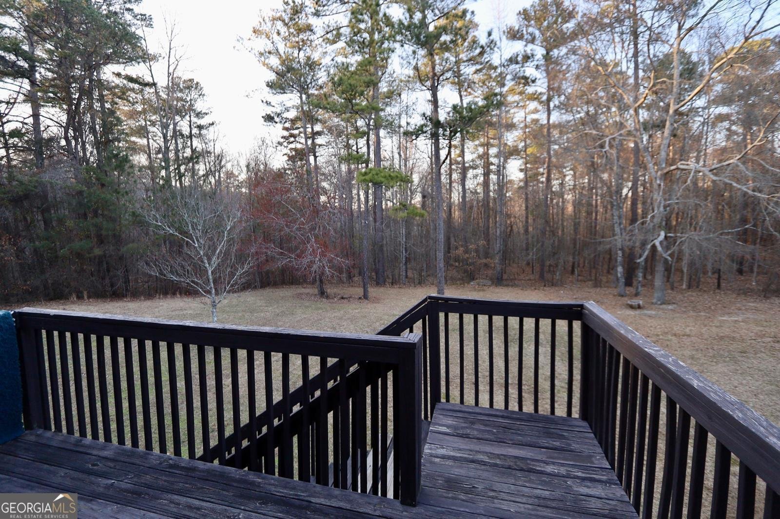 460 Chandler Bluff Court Grayson - 22