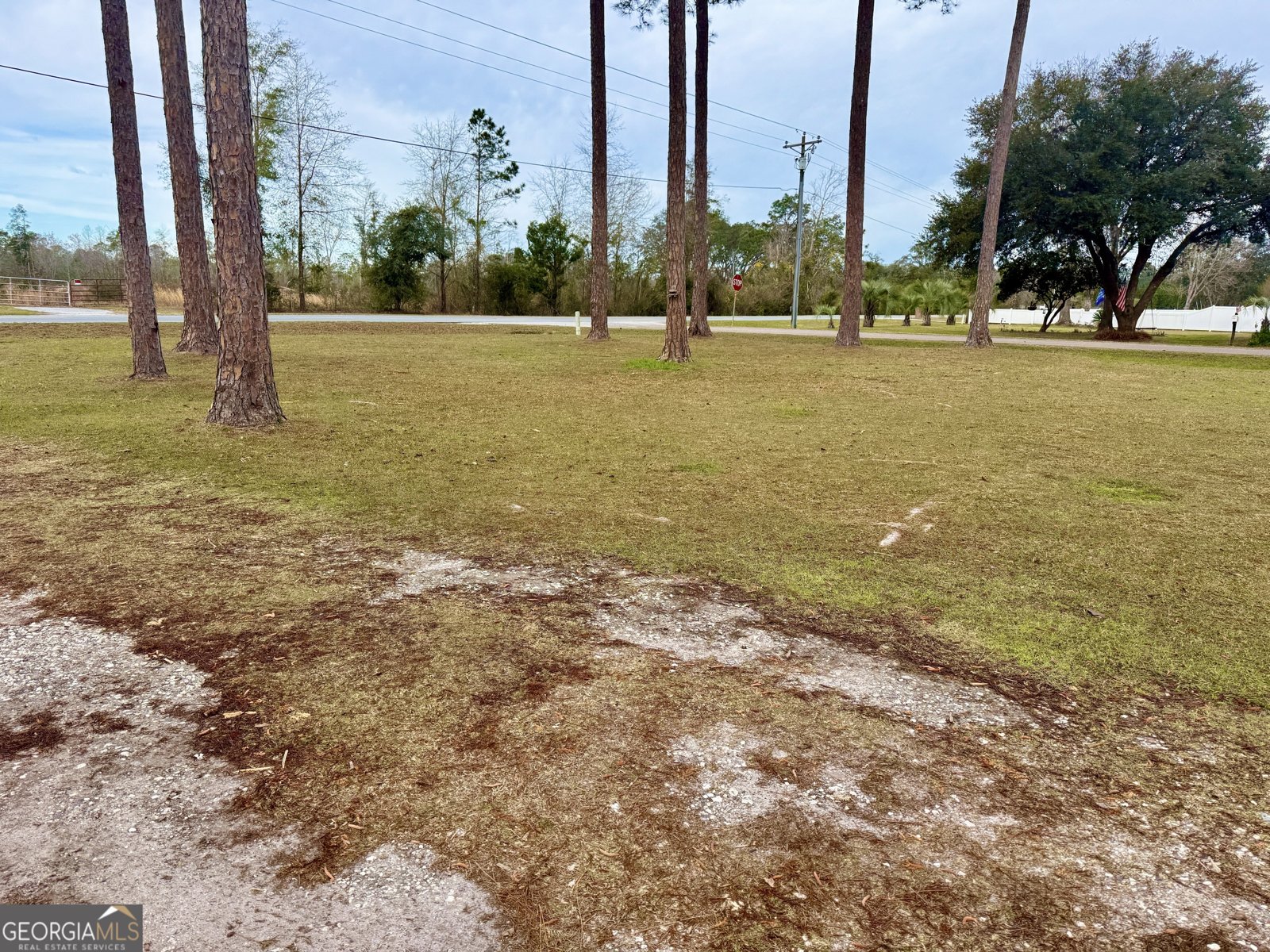 1283 Escott Road Kingsland - 16
