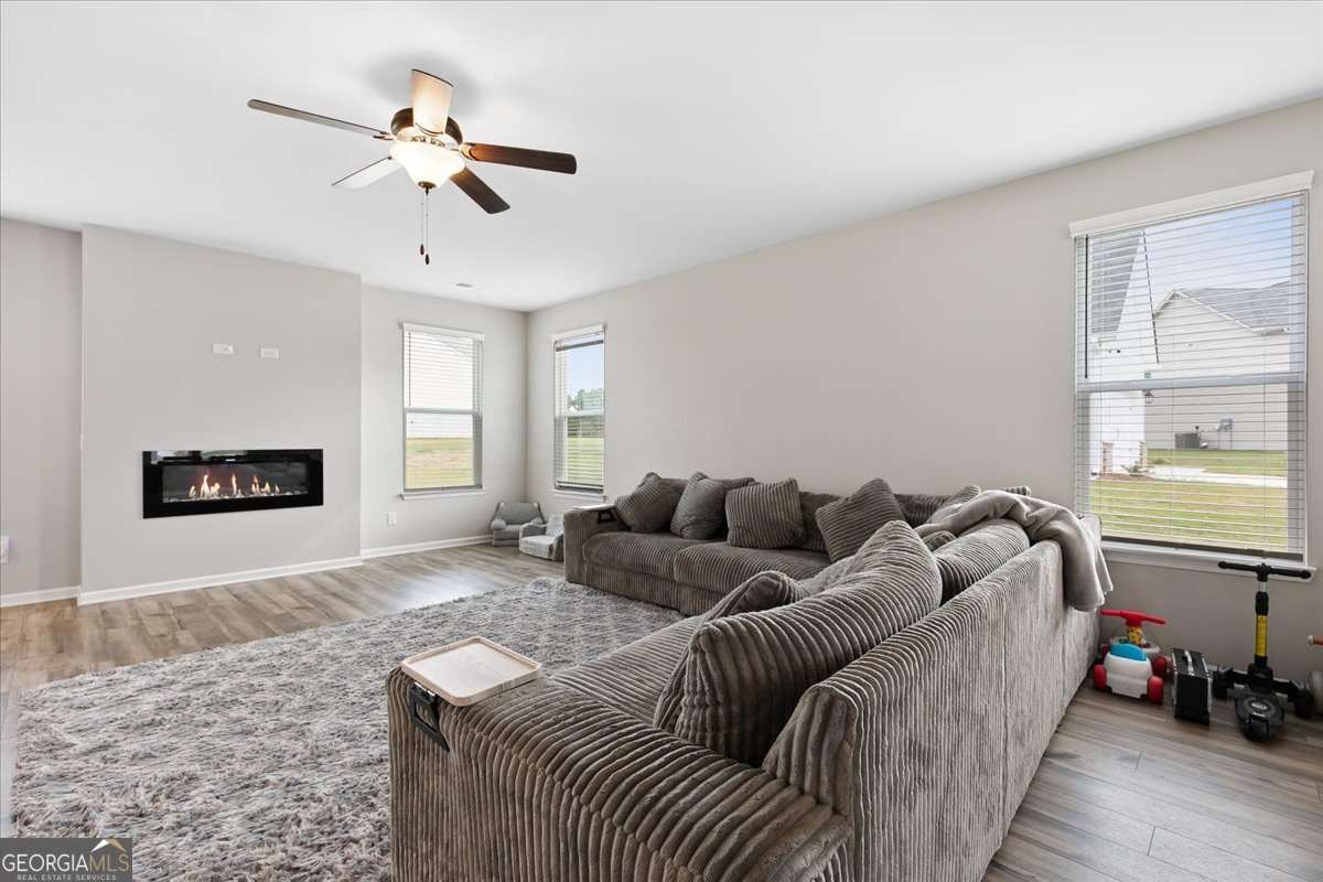 1052 Bodega Loop Locust Grove - 4