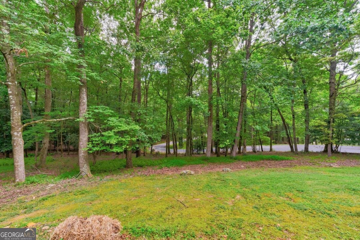 44 D Court Ellijay - 38