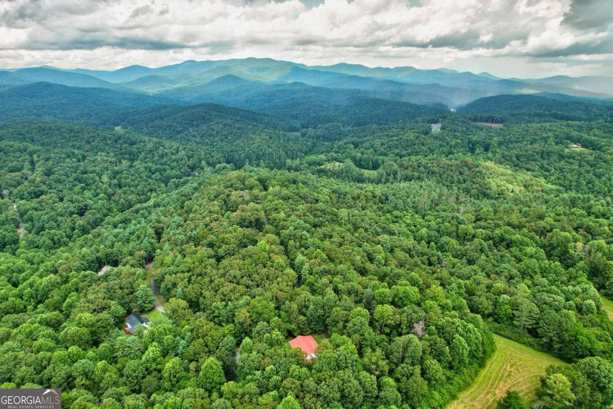 44 D Court Ellijay - 4