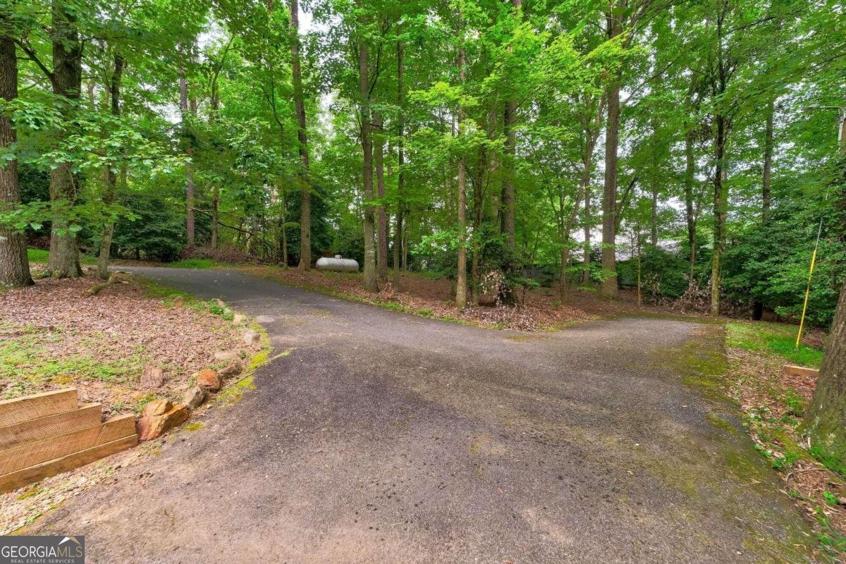 44 D Court Ellijay - 47