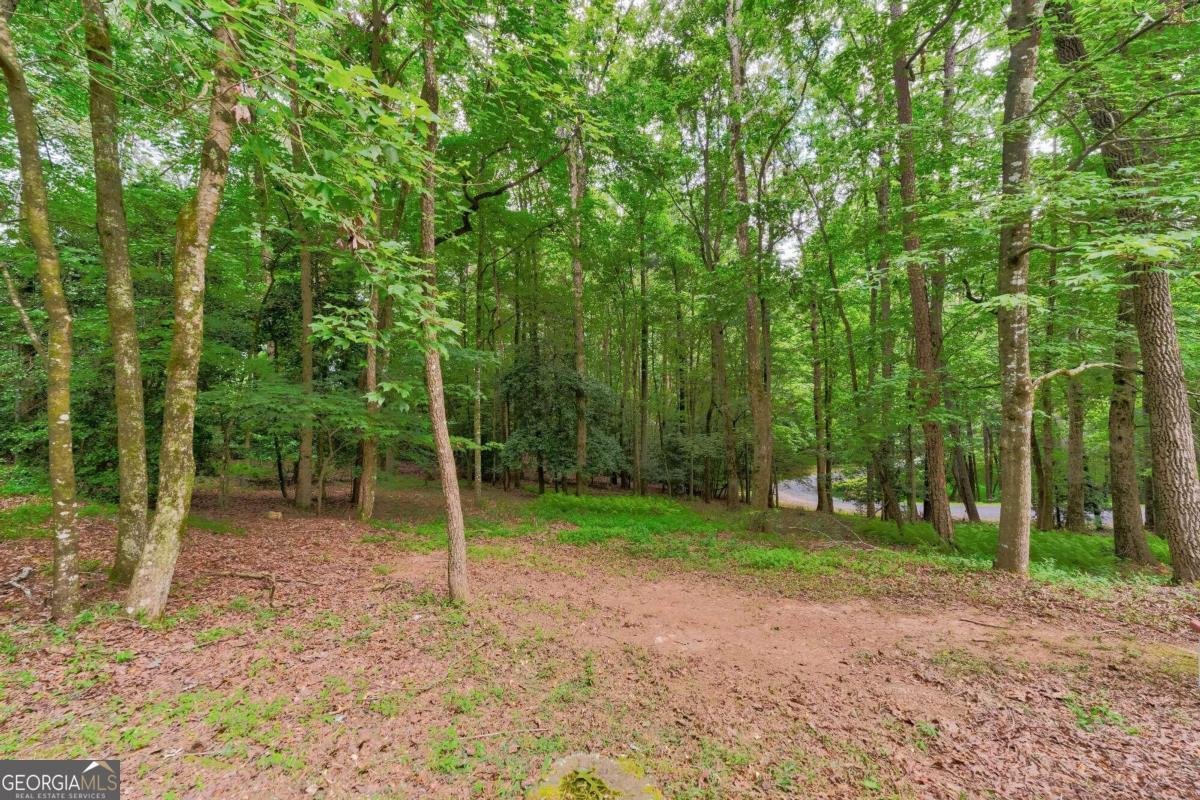 44 D Court Ellijay - 48