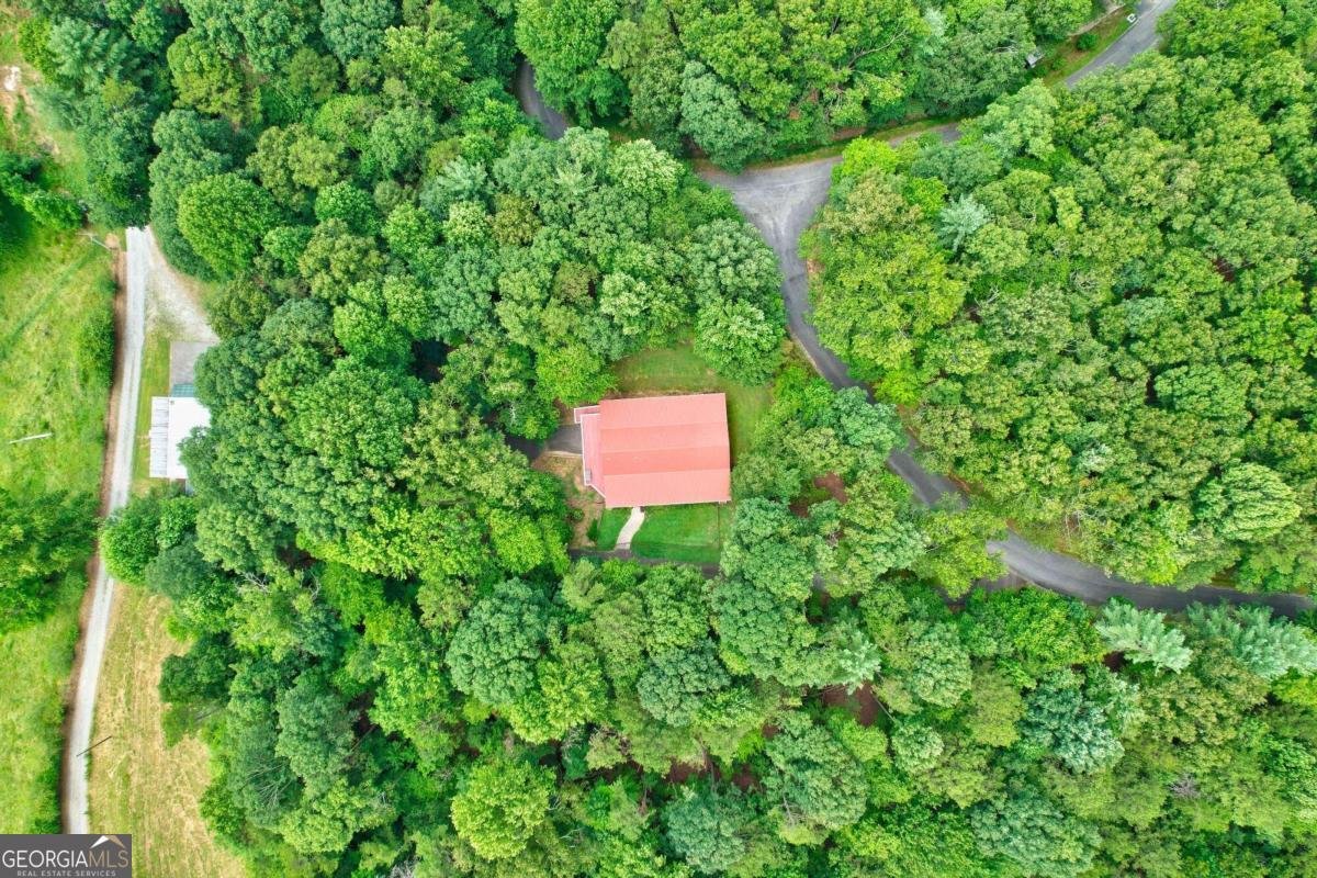 44 D Court Ellijay - 50