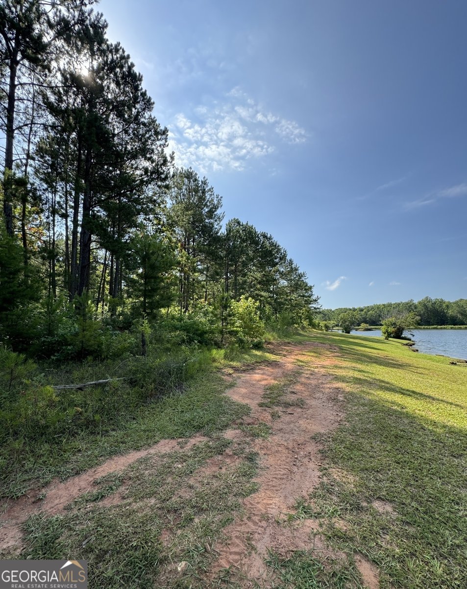105 Magnolia Drive Monticello - 87