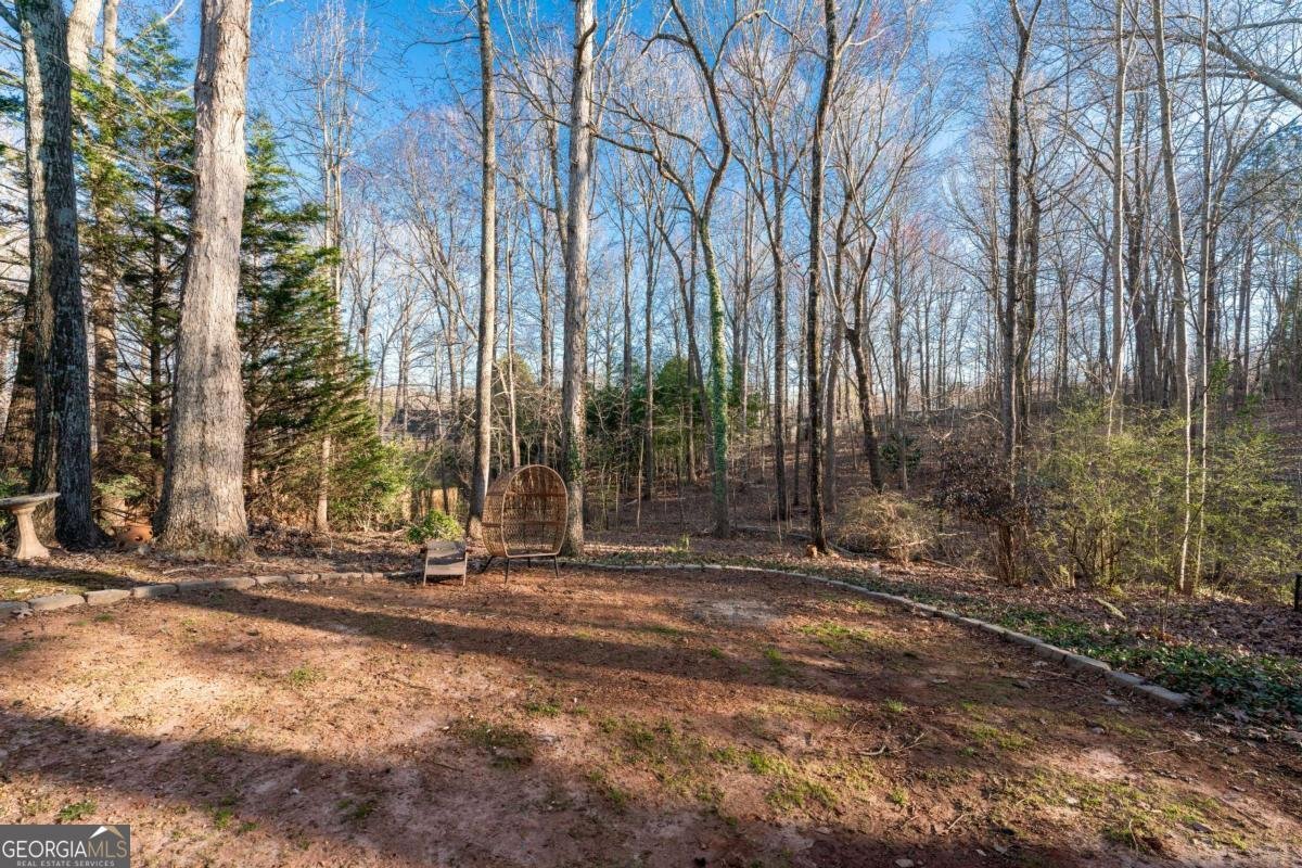 2425 Pemberton Point Buford - 36