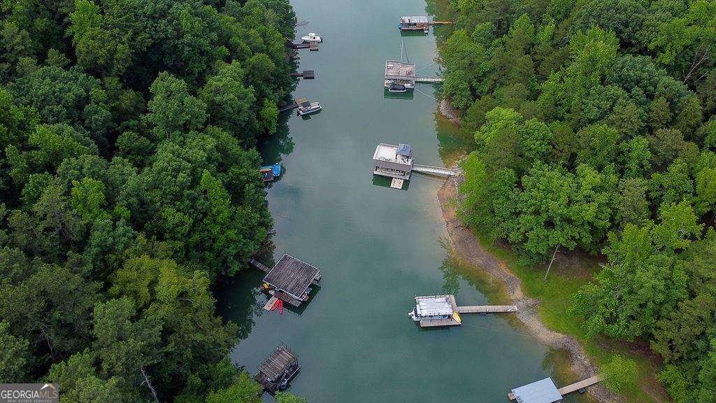 2075 Pine Tree Drive Buford - 29