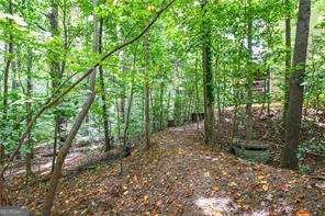 2075 Pine Tree Drive Buford - 33