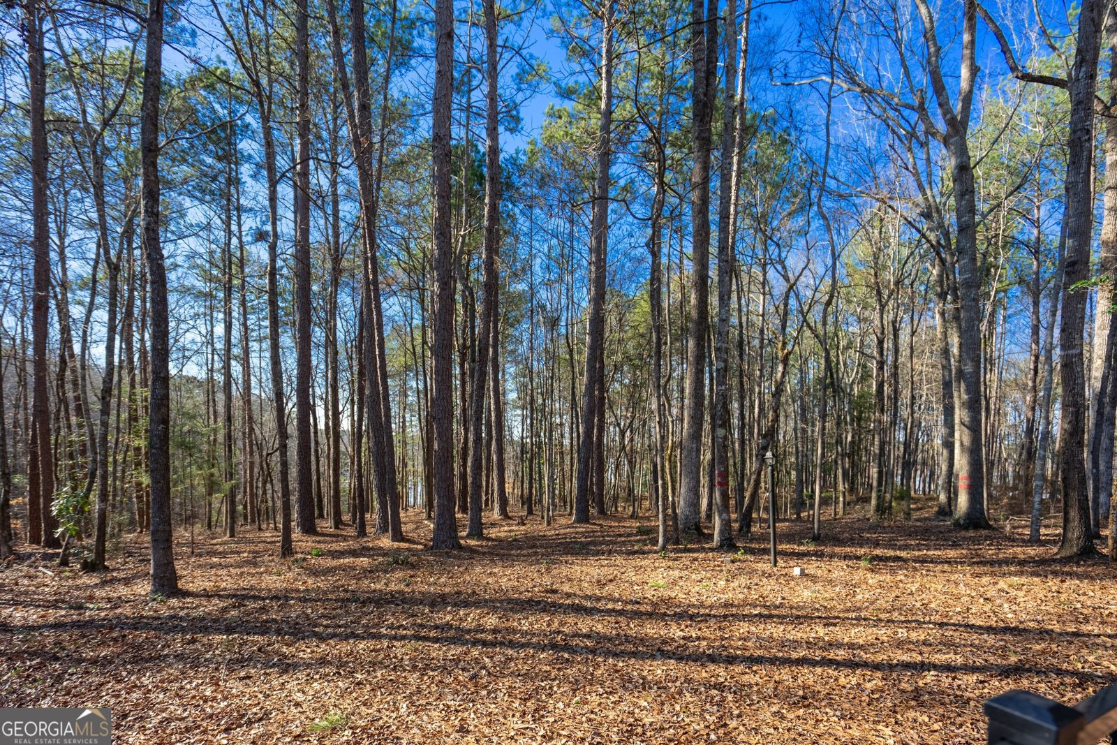 117 Woodchase Drive Lagrange - 45