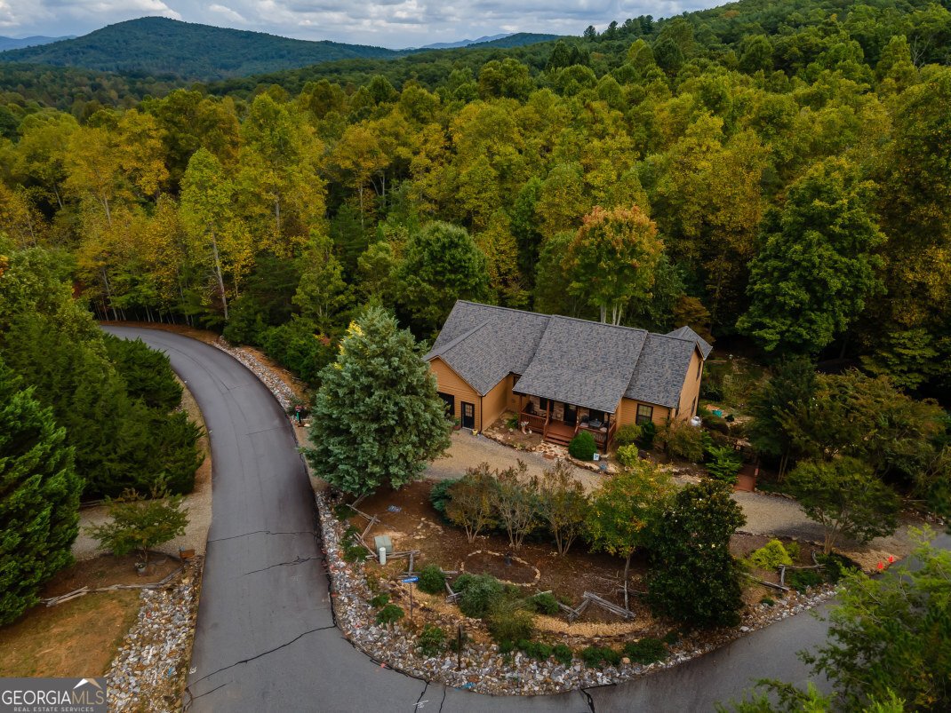 259 Sweet Bay Drive Blairsville - 36