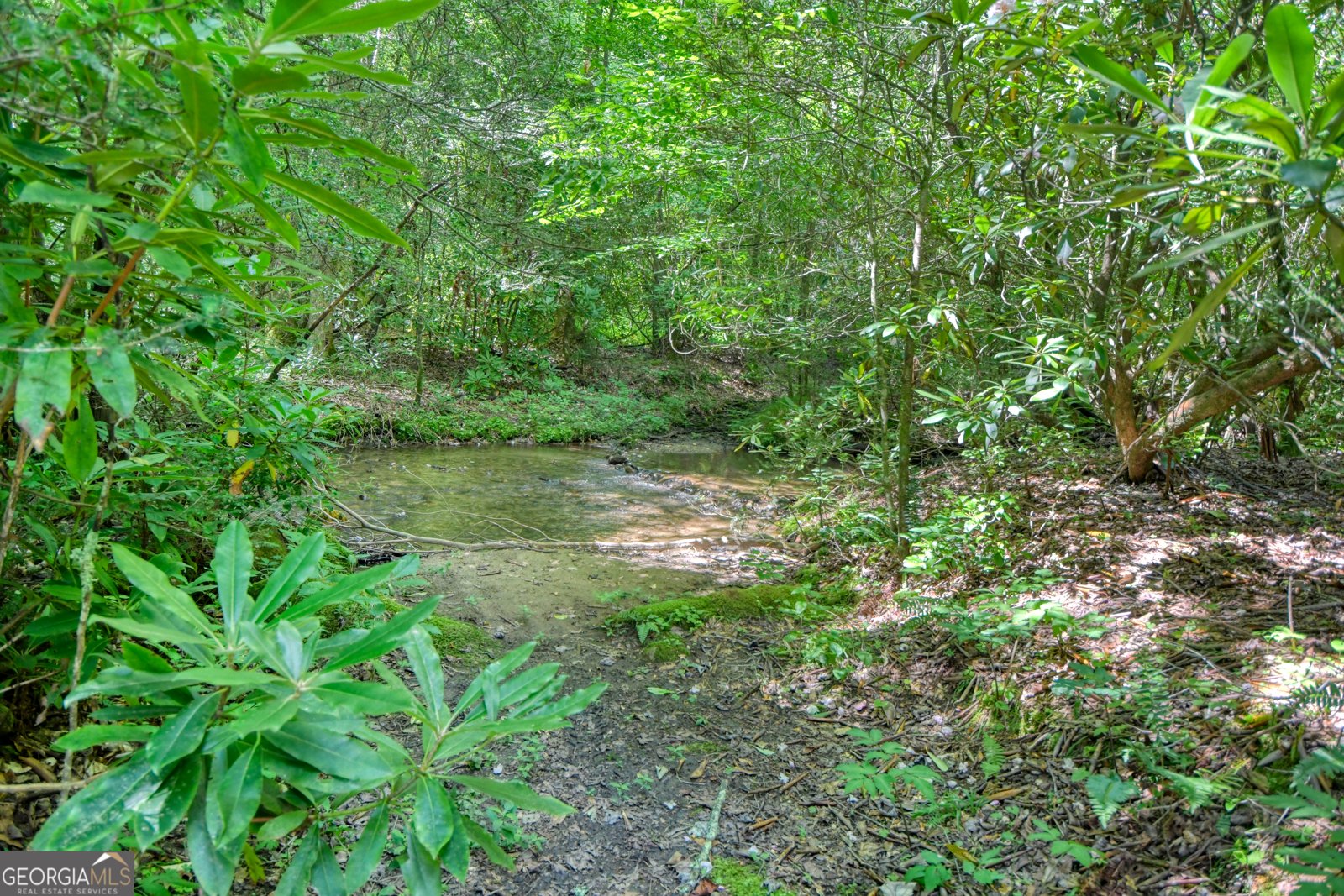 164 Asa Cove Lane Rabun Gap - 43