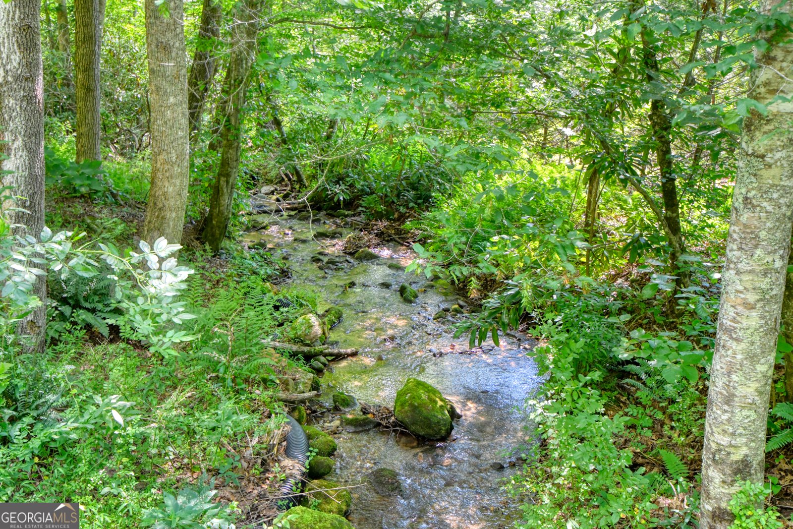 164 Asa Cove Lane Rabun Gap - 62