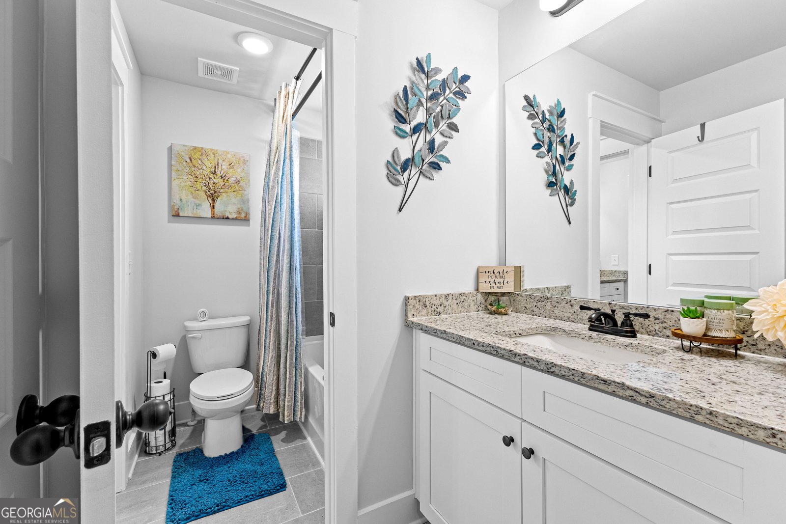 166 Belvoir Place Senoia - 36