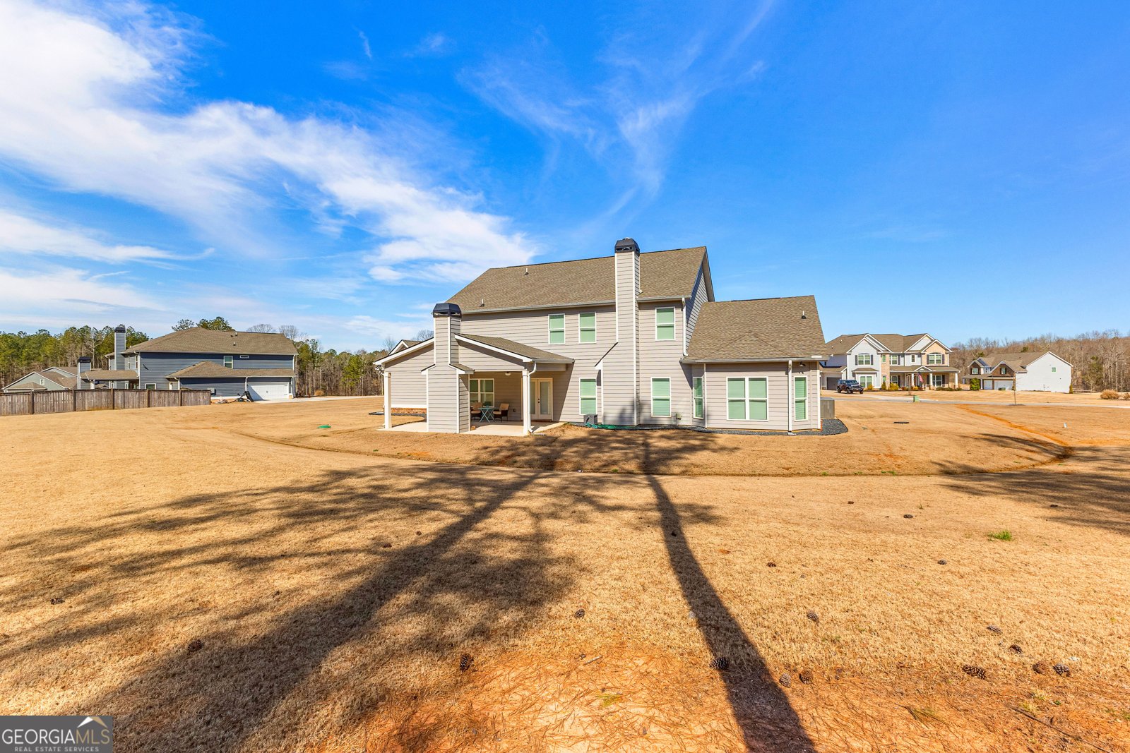 166 Belvoir Place Senoia - 54