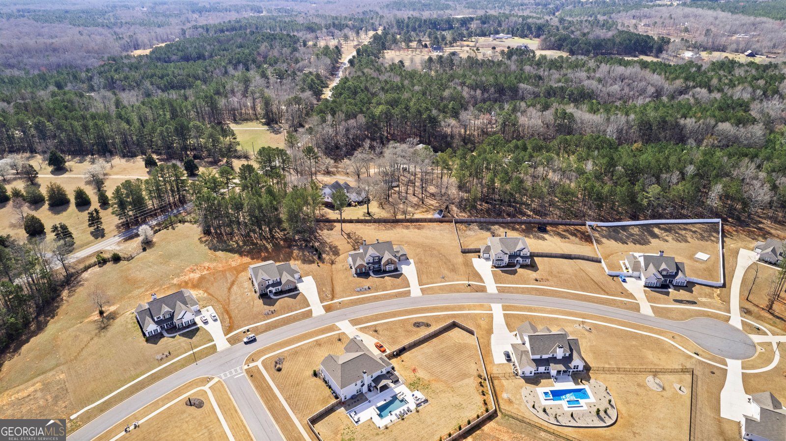 166 Belvoir Place Senoia - 59
