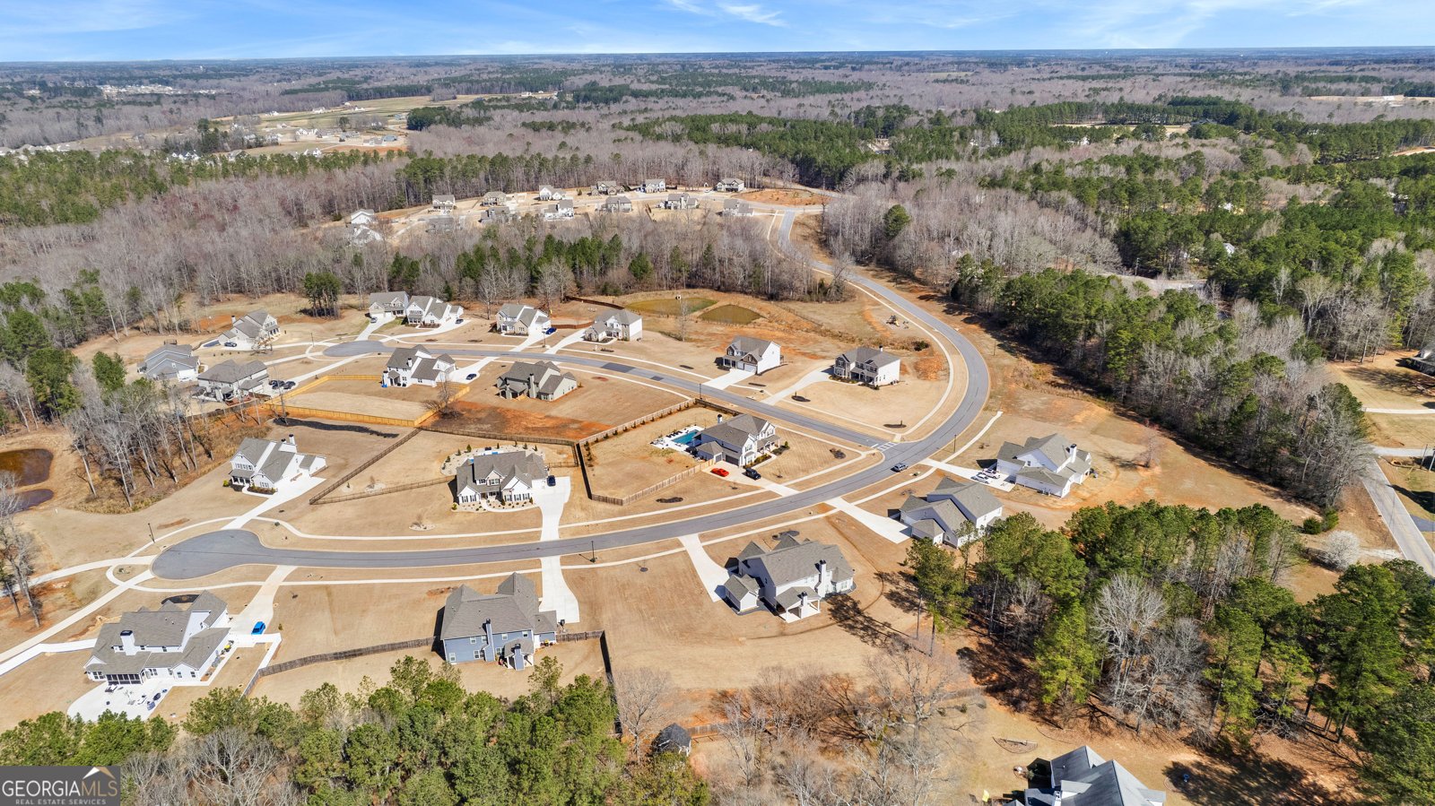 166 Belvoir Place Senoia - 61